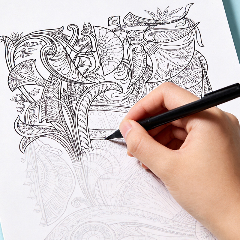 Un libro para colorear dibujad - Photography Book reseña y precio